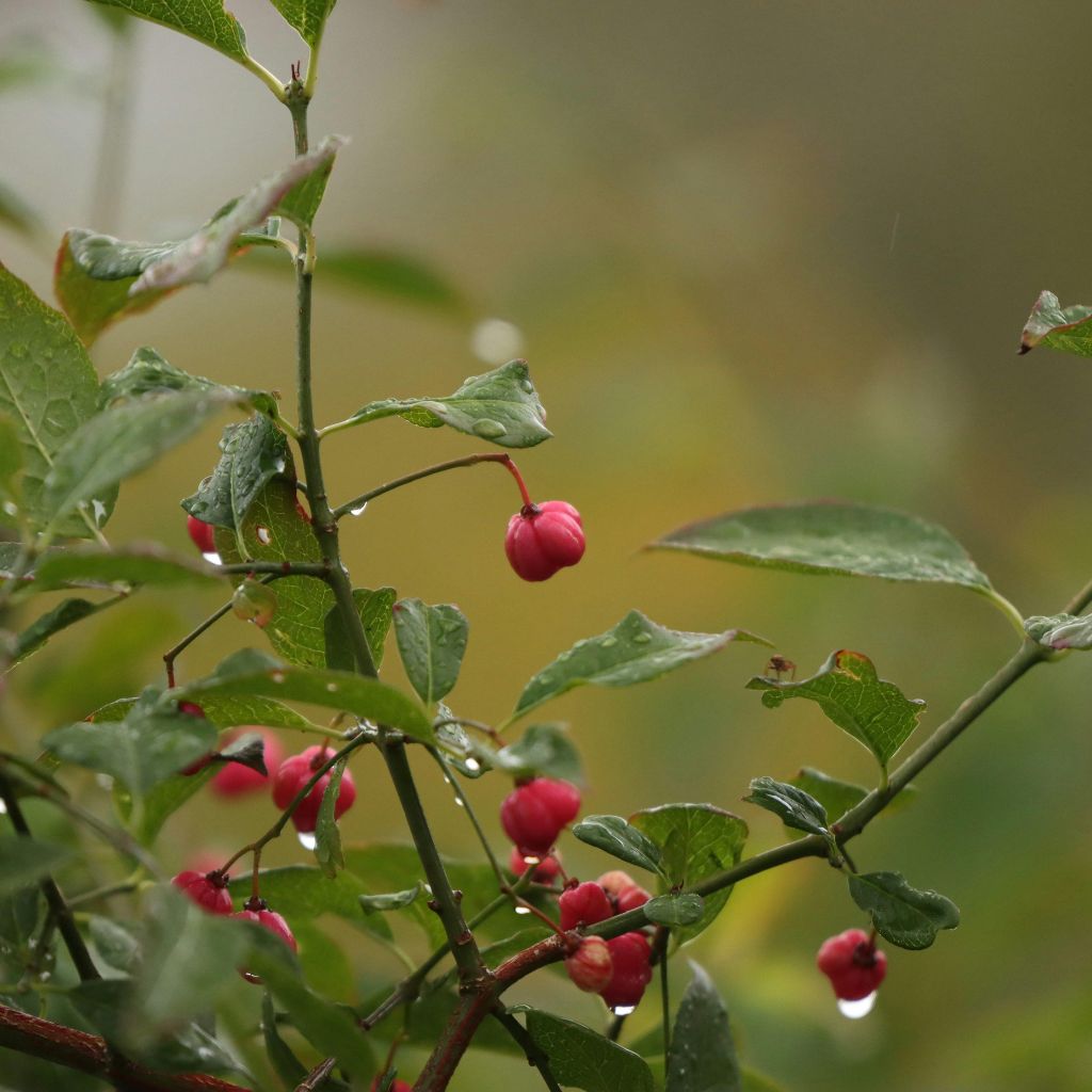 Návrh bez názvu (92)